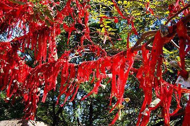 《黑神话》预售3天预售额超亿元 实体版第2波抢购今晚开启